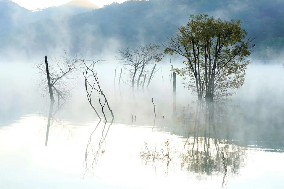 숙박세일페스타 참여 여행사