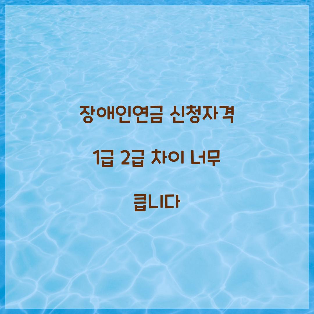 장애인연금 신청자격 1급 2급 차이 너무 큽니다