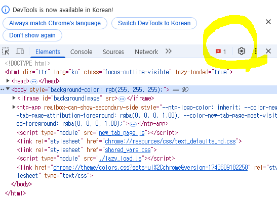 개발자 도구 설정화면 스크린샷