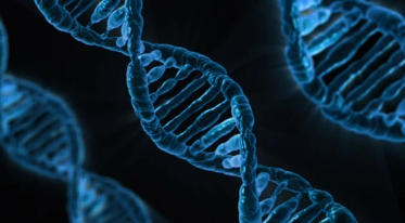 유전자 편집(CRISPR) 시대의 ‘디자이너 베이비’ 딜레마