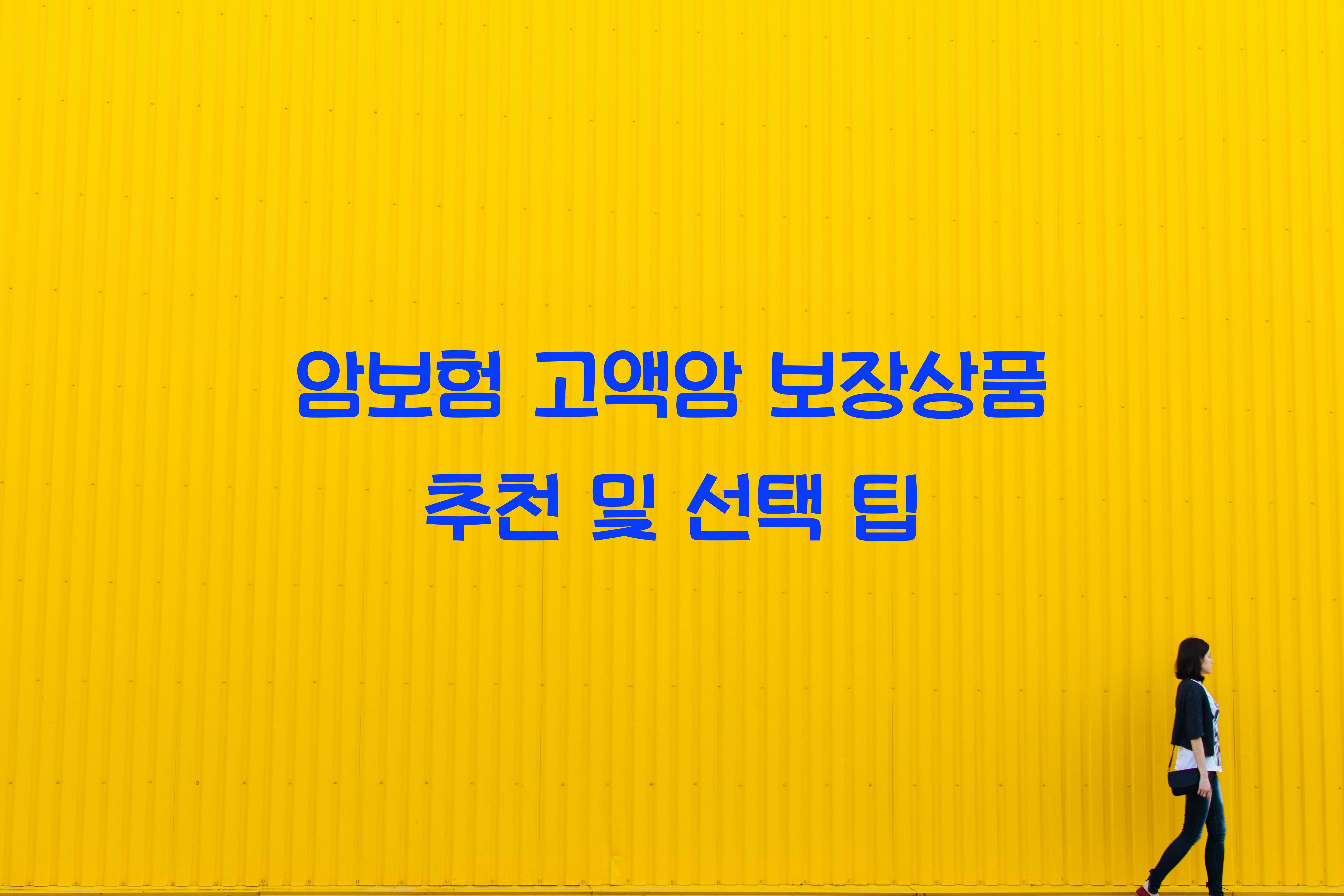 암보험 고액암 보장상품 추천