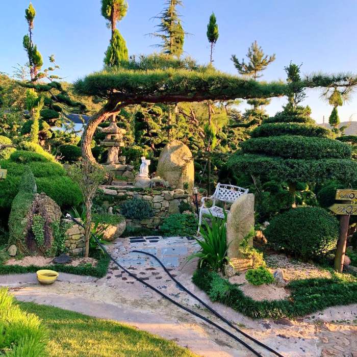 생방송오늘저녁 정읍 정원 식물원 수목원 민간정원 가든 카페