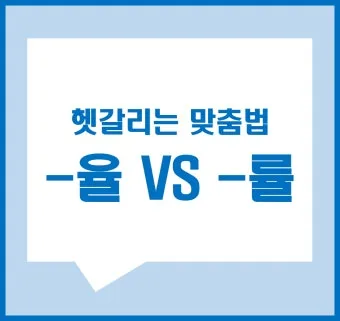 율 률 맞춤법 완벽정리 합격률 합격율_11