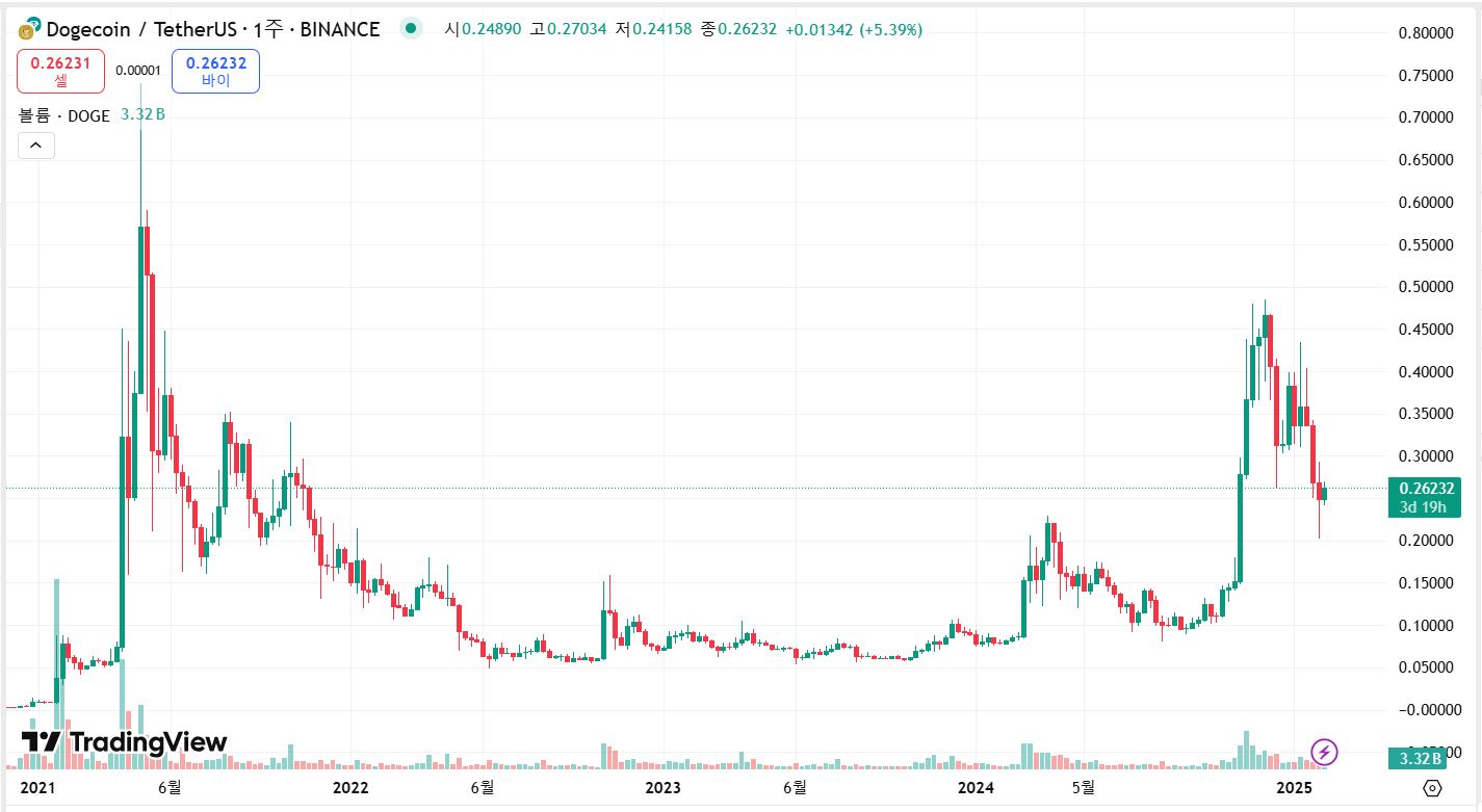 도지코인 주봉차트
