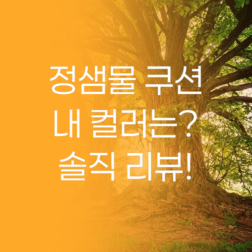 🤔 정샘물 누더 쿠션, 나에게 맞는 ..