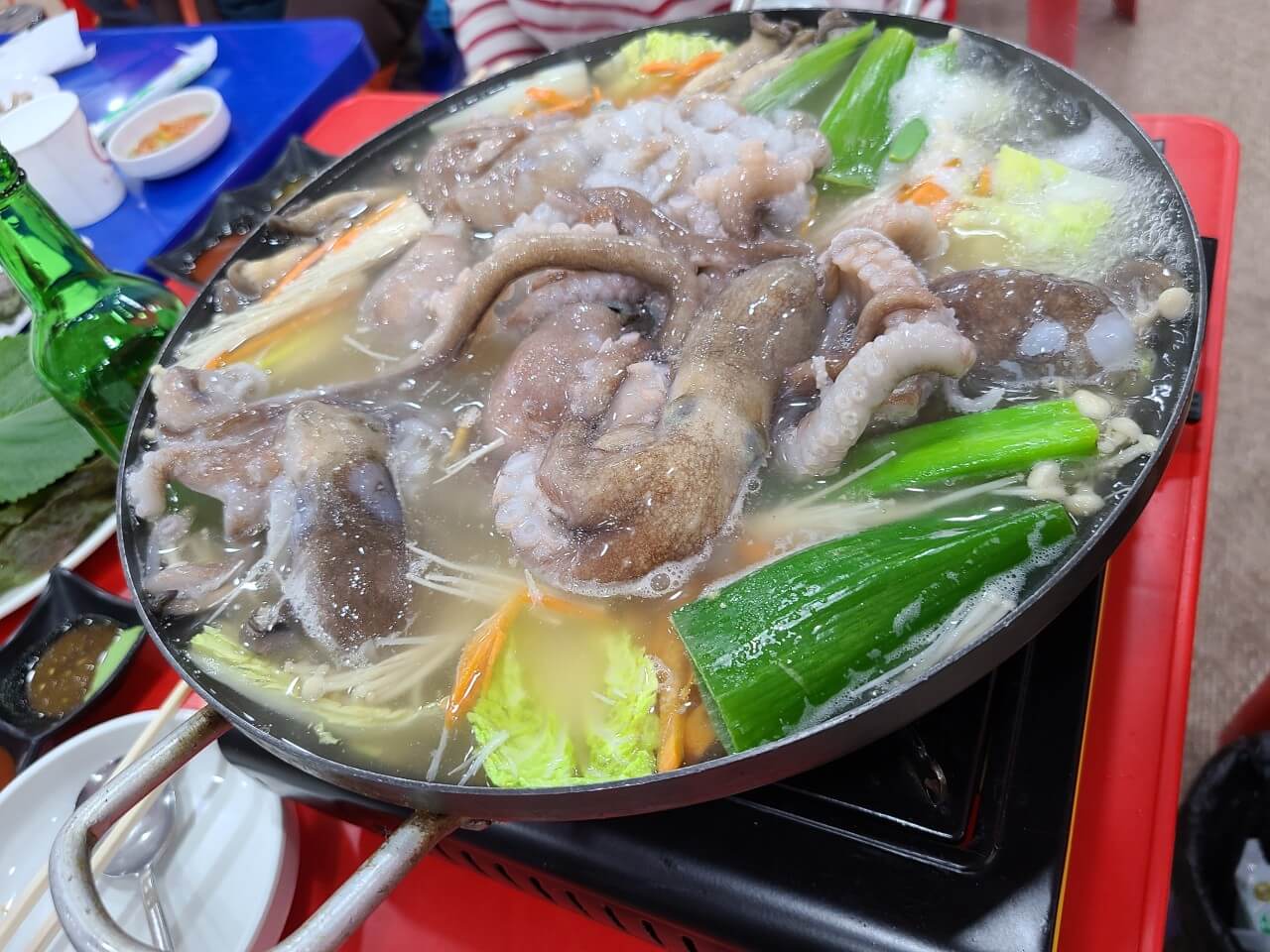 생방송투데이 동대문 모둠회 맛집 정보