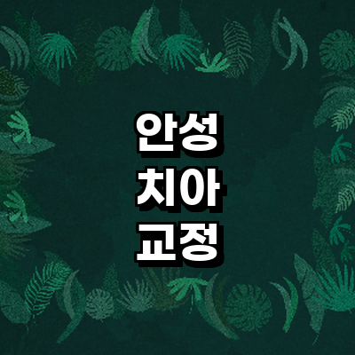 안성시 교정 치과