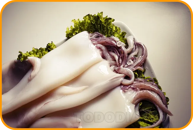 오징어 손질 방법