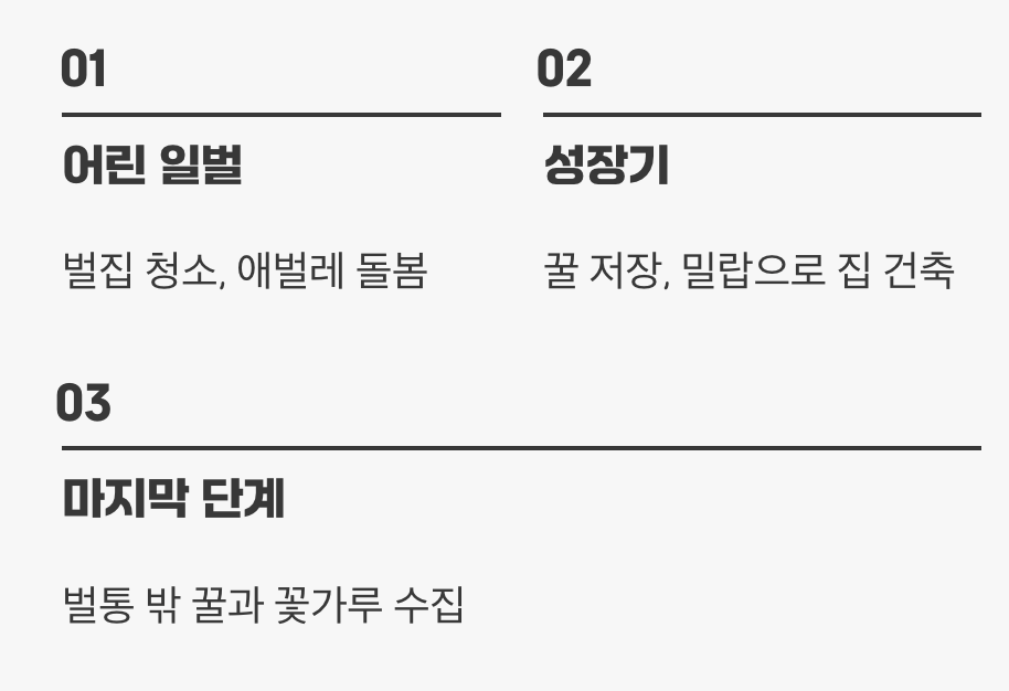 벌집의 모든 것, 일벌