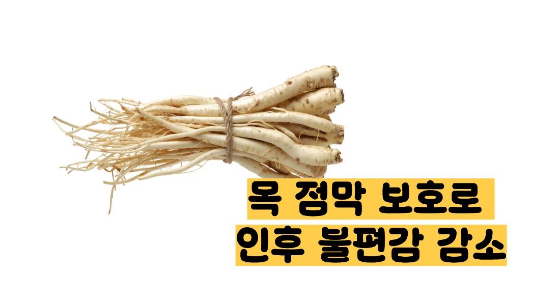 도라지청의 효능