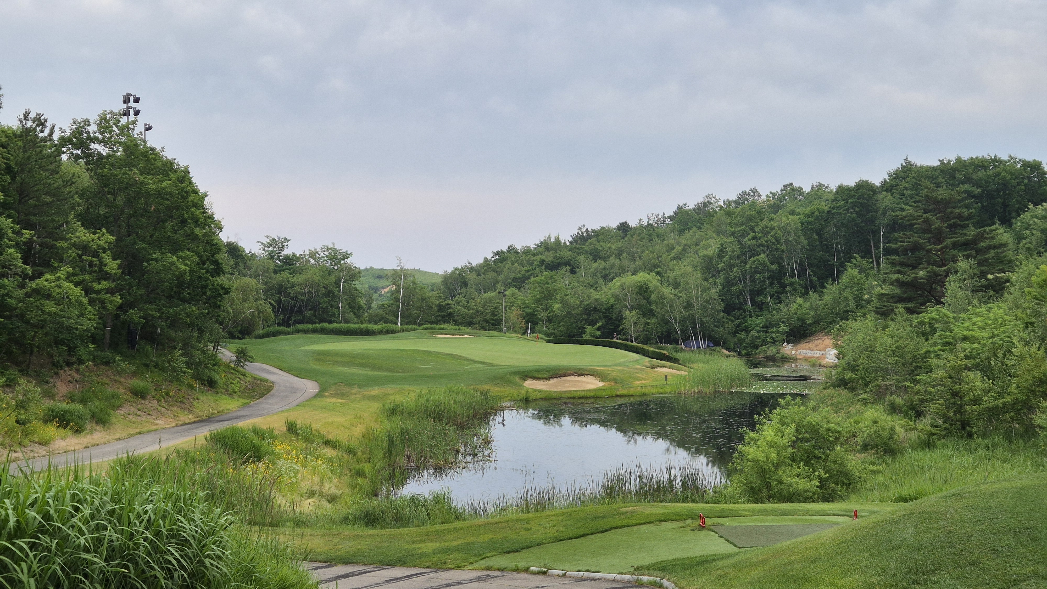 파인리즈cc 후기 및 코스사진