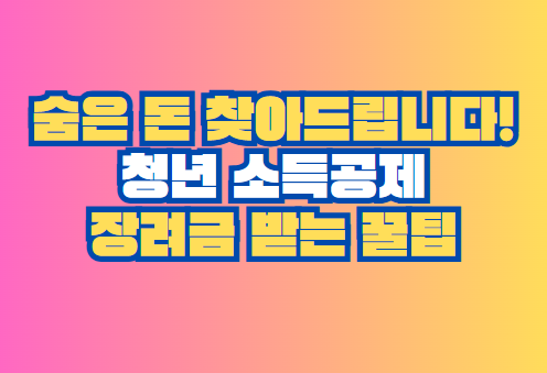 청년 소득공제