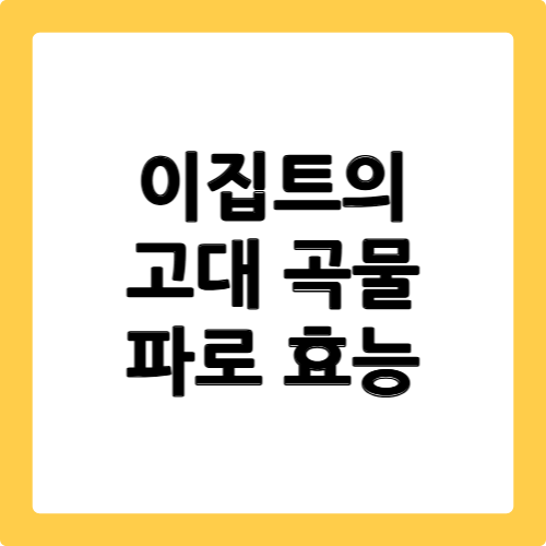 파로 효능