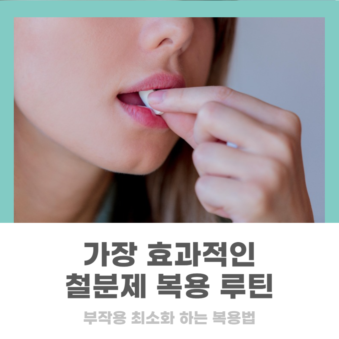 임산부 철분제