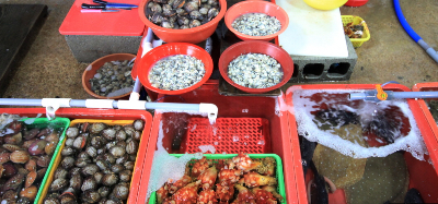 남당항새조개축제