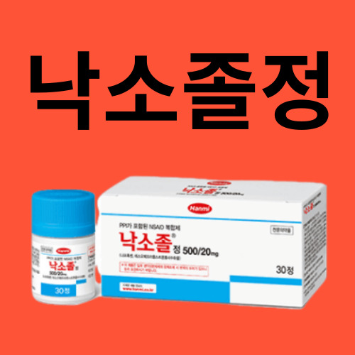 낙소졸정500/20mg