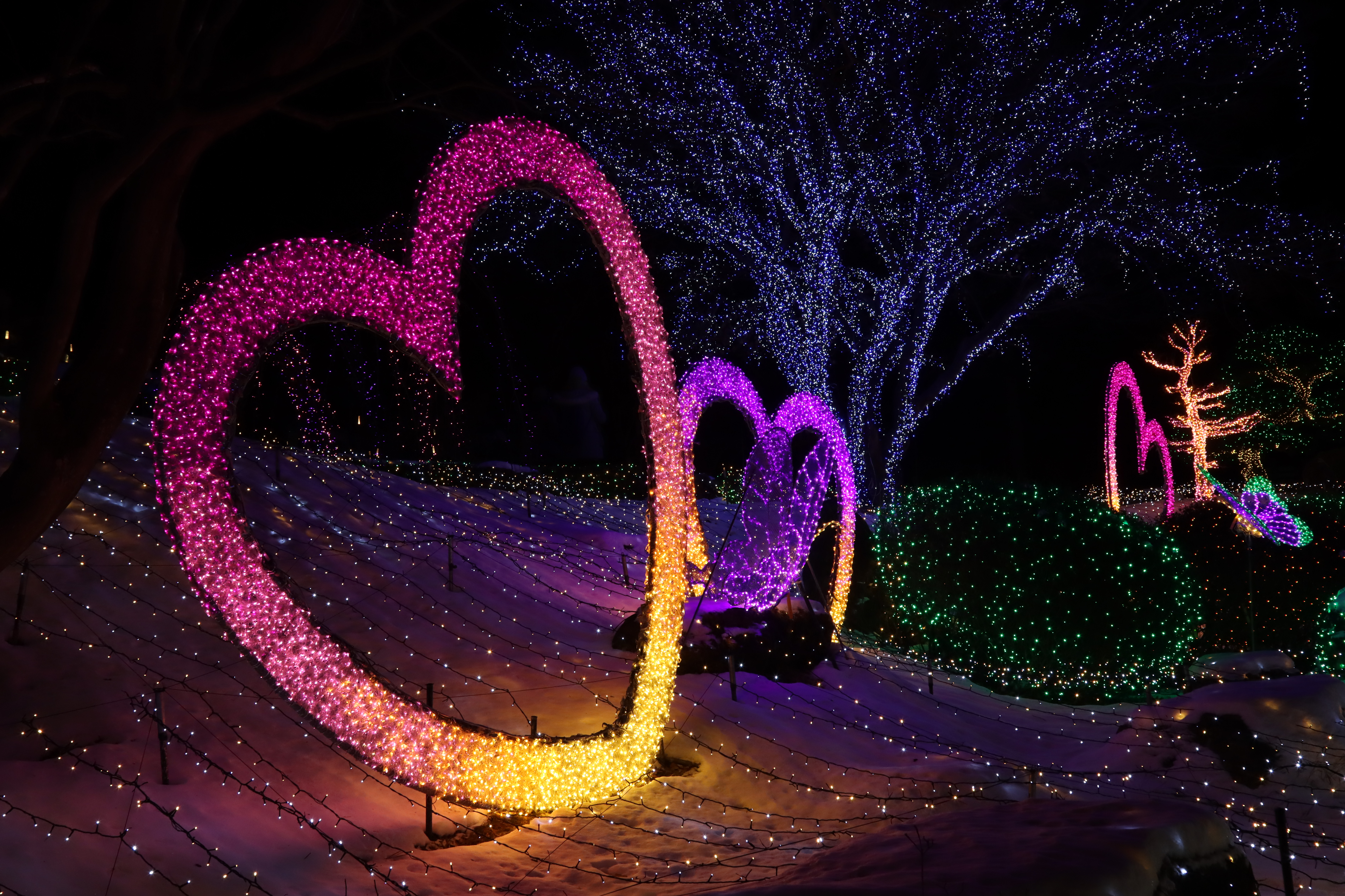 아침고요수목원