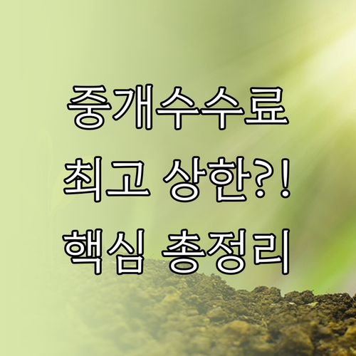 대한민국 중개보수 법정 상한 요율표 ..