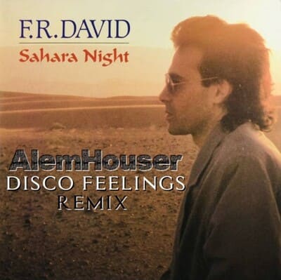 에프알 데이비스 디스코 앨범