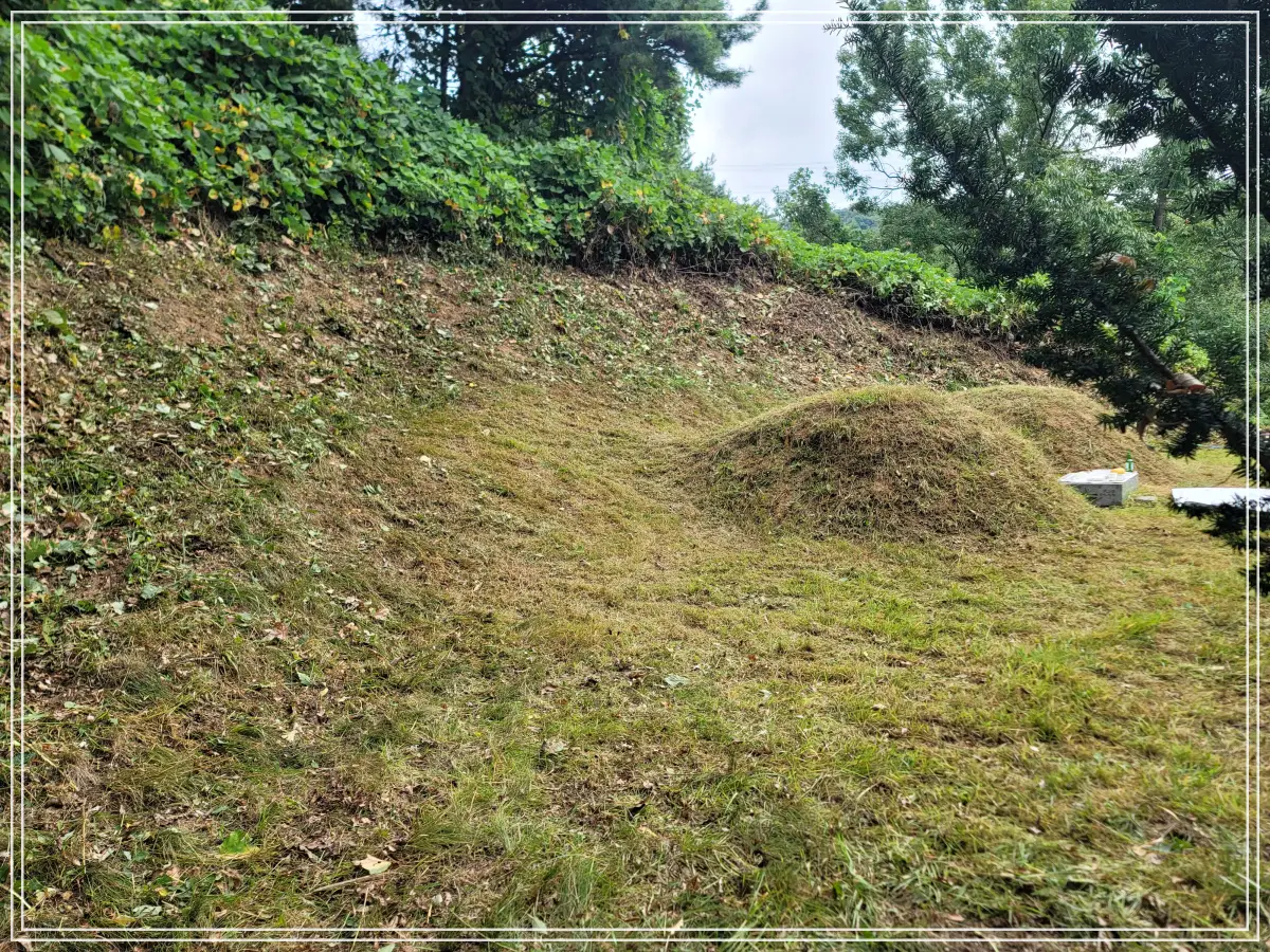 벌초-후-조부모-산소