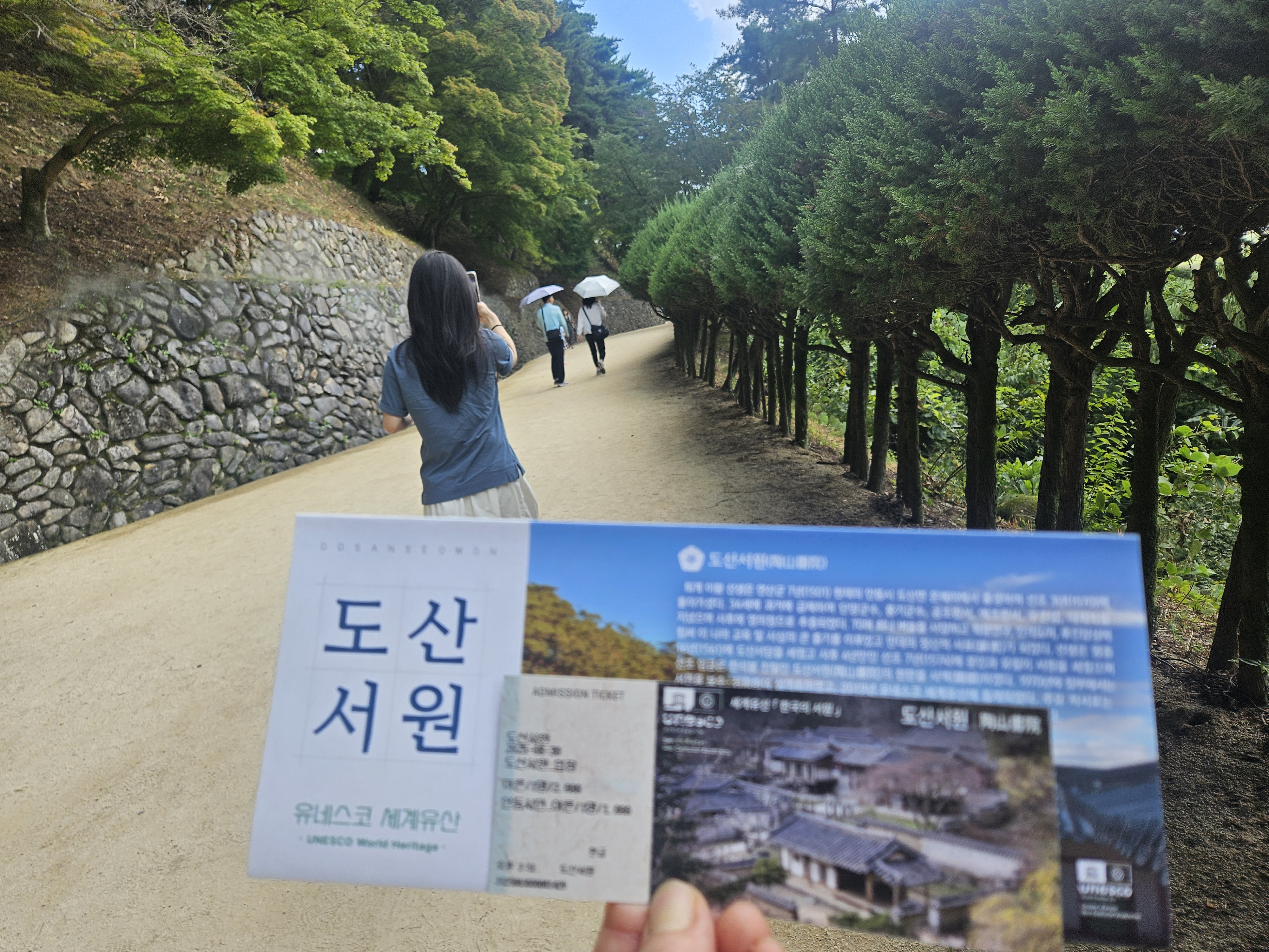 안동 도산서원, 딸과 함께한 여름날의 힐링 여행 &ndash; 외국여행 온 줄 알았어요 관련 사진