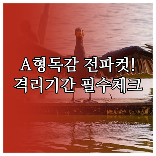 A형 독감 바이러스 전파 막는 법과 ..