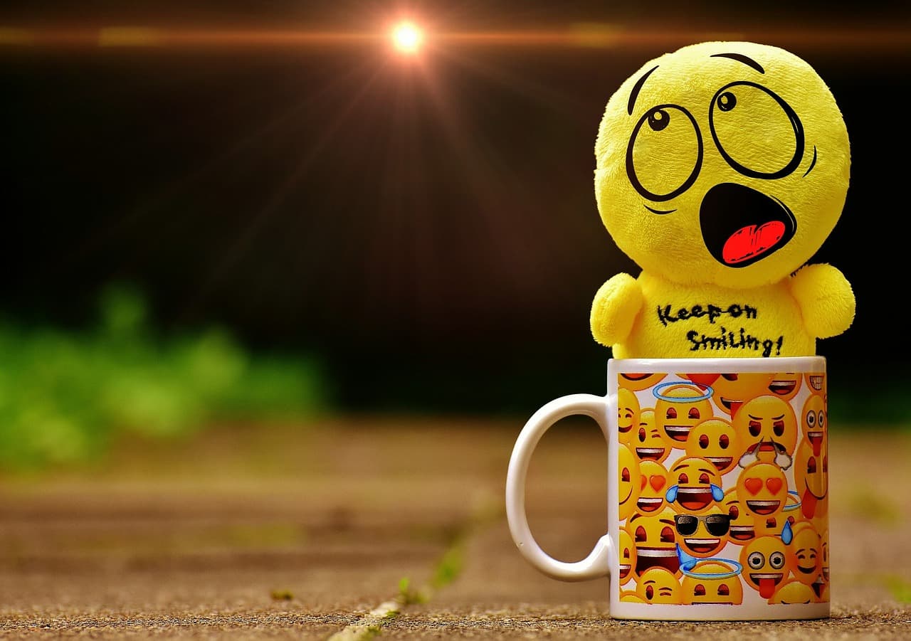 감정 기복이 심한 나