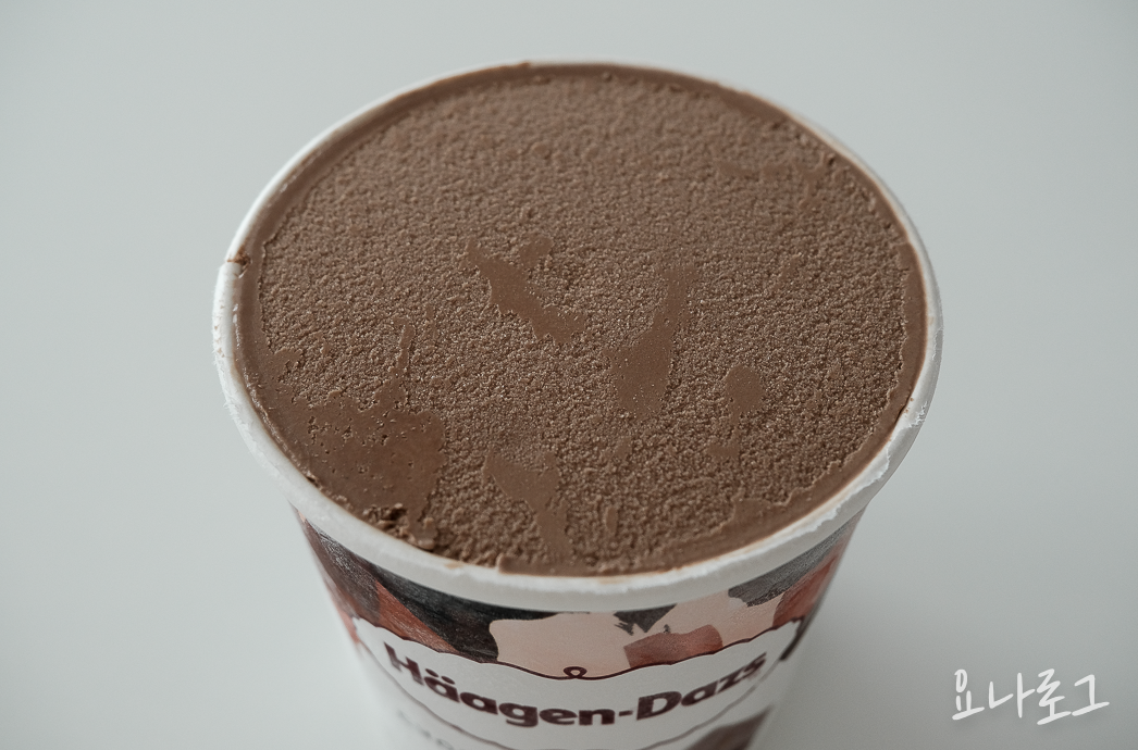 하겐다즈 하겐다즈초콜릿 초코아이스크림 초코디저트 초콜릿디저트 다크초코 다크초콜릿 초콜릿 다크초코아이스크림 다크초콜릿가나슈앤아몬드 내돈내산 내돈내산리뷰 아이스크림리뷰 아이스크림추천 하겐다즈추천 간식 간식추천