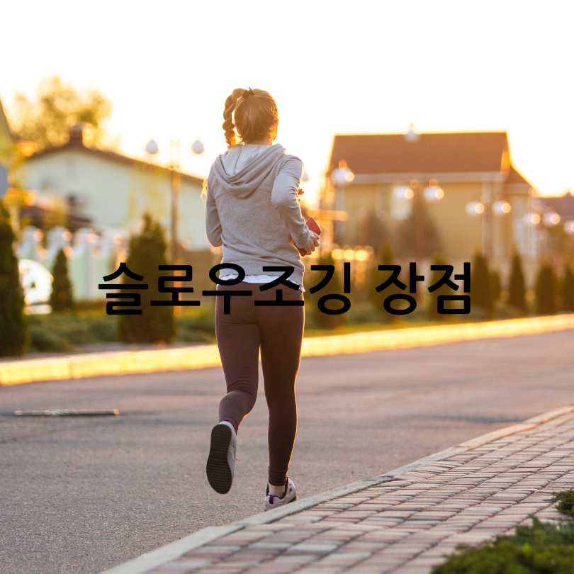 슬로우조깅동호회