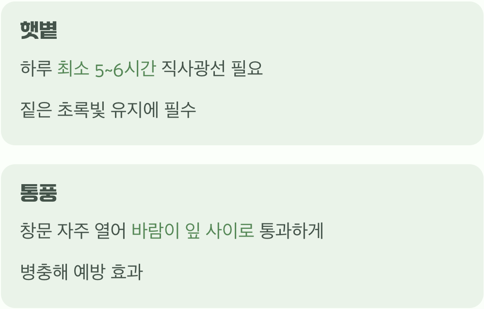 햇살은 보약, 바람은 비타민