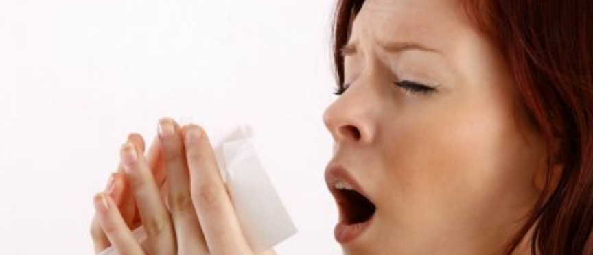 알르레기에 좋은음식