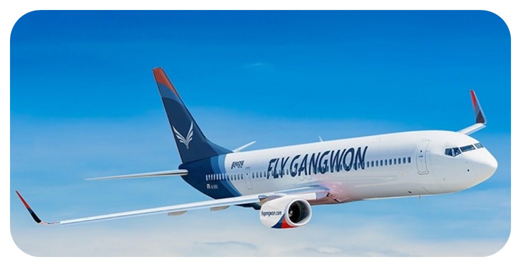 플라이강원 에어버스 A330-200 여객기가 하늘을 날고 있는 모습을 찍은 사진