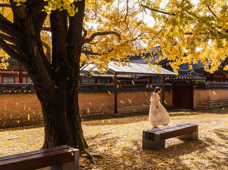 한국의 전통 혼례: 한복과 폐백의 아름다움