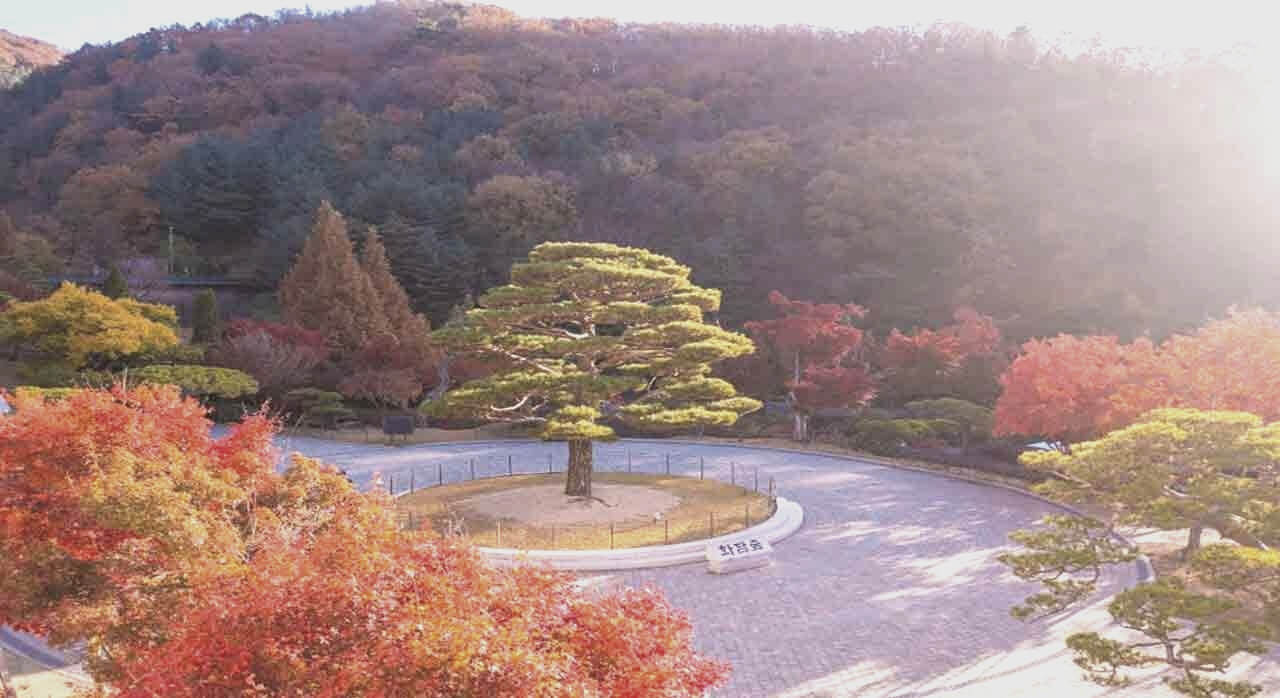 화담숲 예약하기 &amp;#124; 100% 성공하는 팁