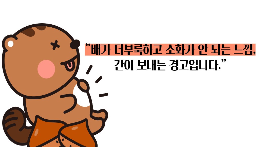 간경화 초기증상