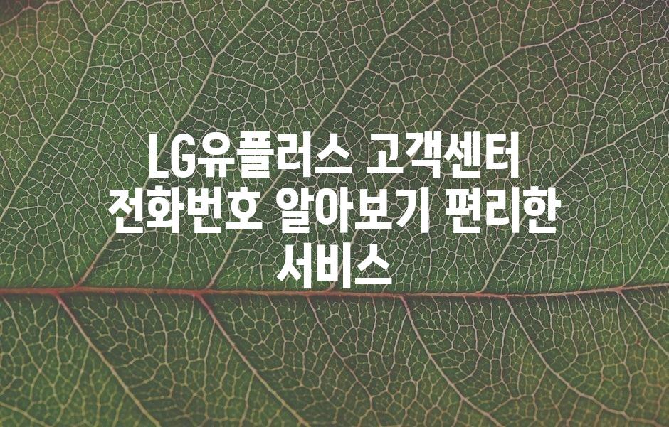 샘플 (43)