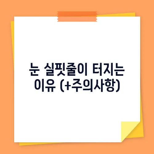 눈 실핏줄이 터지는 이유 (+주의사항)