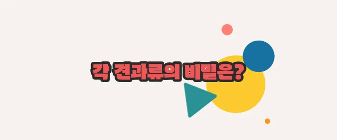 견과류 효능 하나씩 확인해보죠