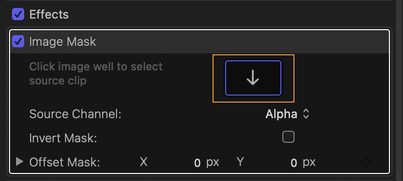 Video Inspector의 Image Mask 적용된 모습
