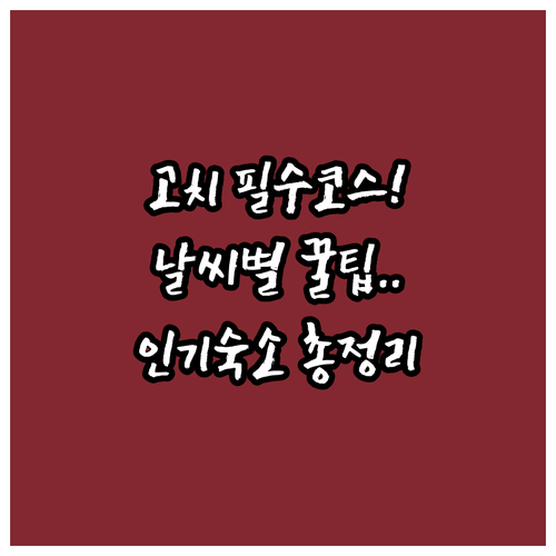일본 고치 여행 하리마야바시 근처 날..