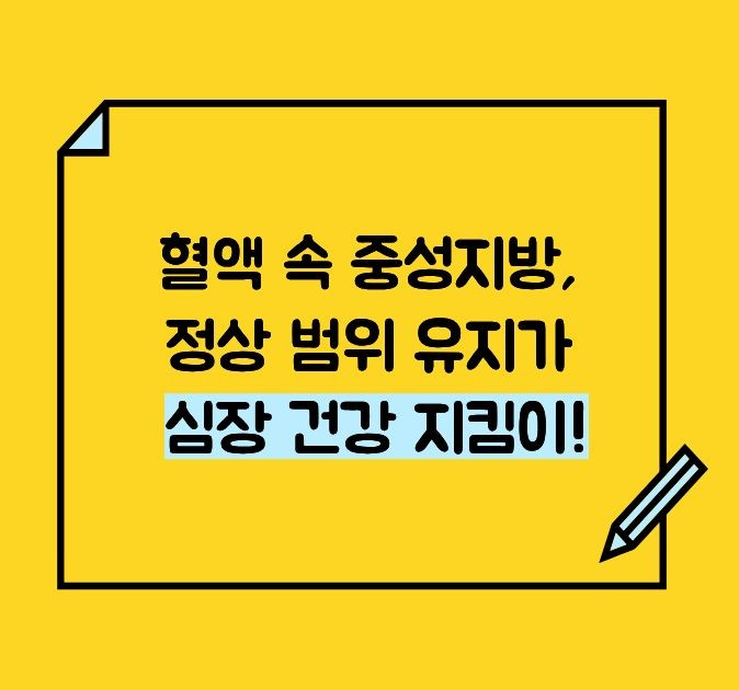 중성지방 정상수치