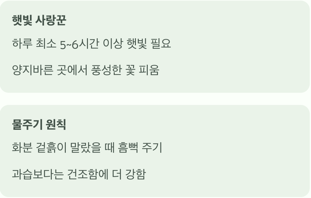 햇빛과 물, 이것만 기억하세요
