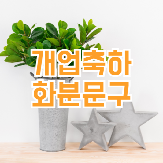 개업축하화분 문구 주제별 추천!