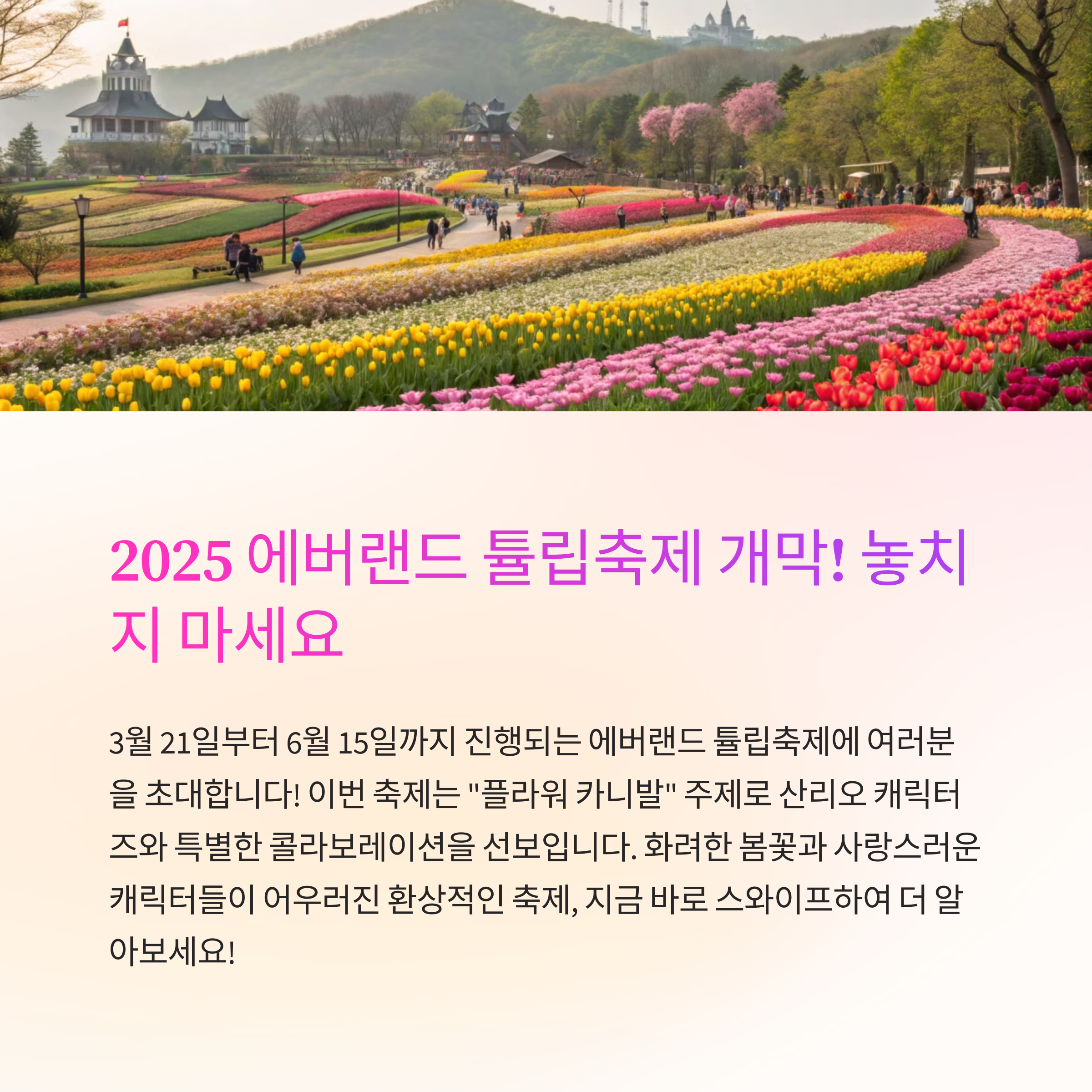 2025 에버랜드 튤립축제
