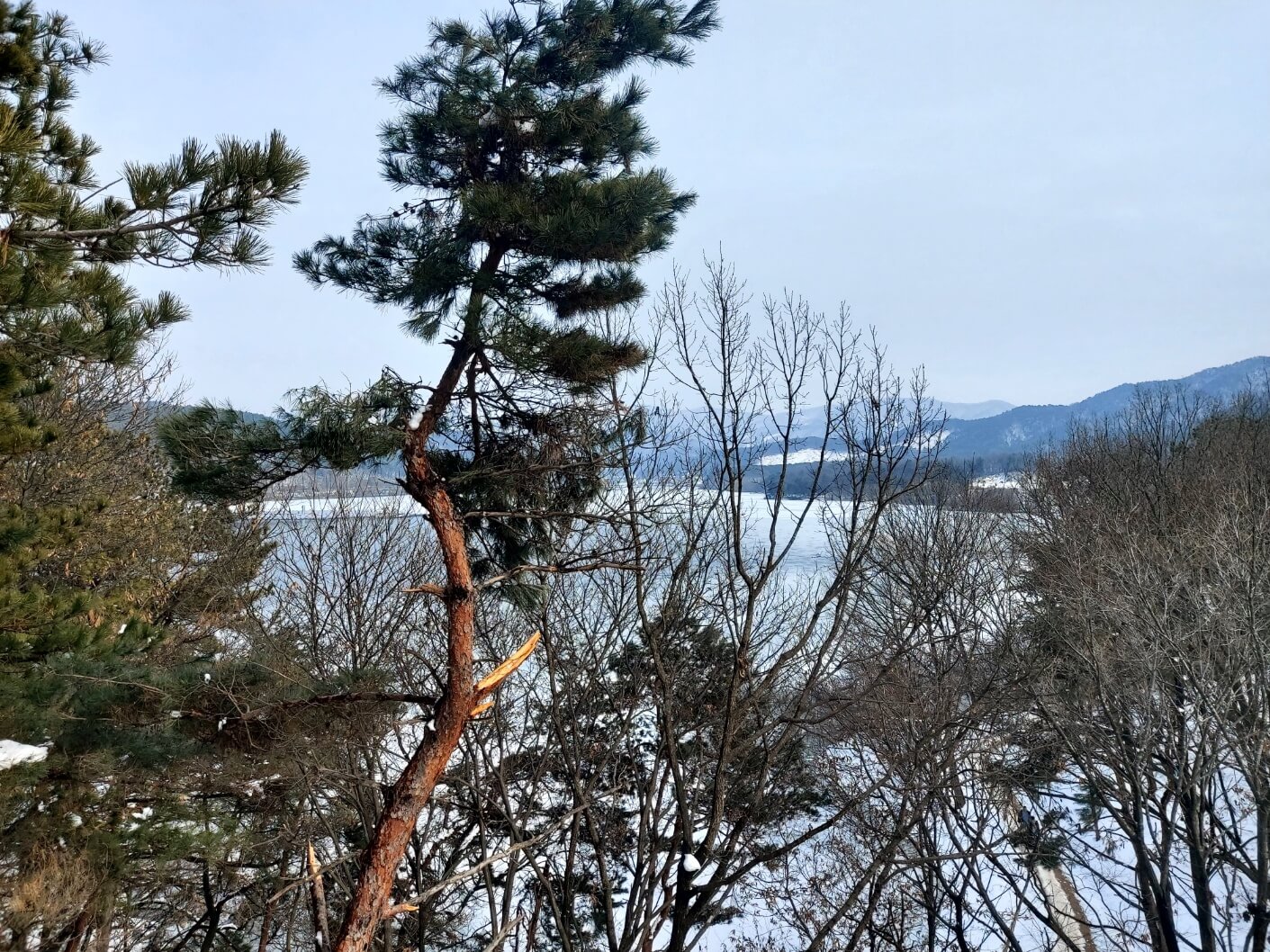 안성을 지난다면 금광 호수 한번 들려 봐요.!