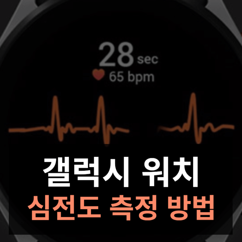 갤럭시 워치 심전도(ECG) 측정 방법 총정리