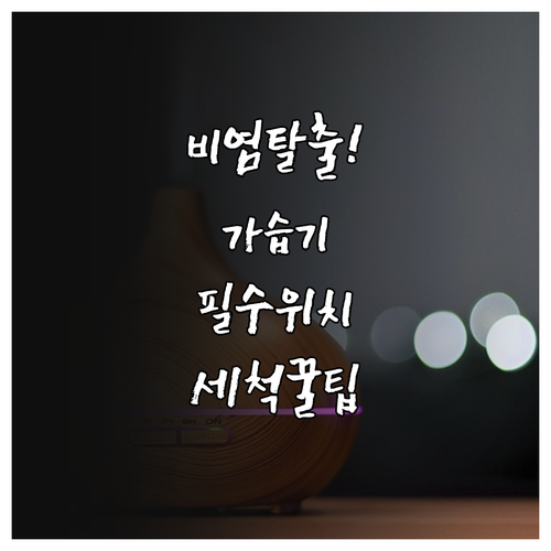 알레르기 비염 환자를 위한 가습기 위..