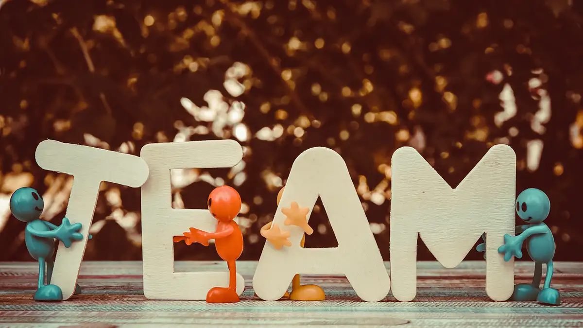 결론: 도시 양봉 콘텐츠 개발, 핵심은 현장성과 연계성