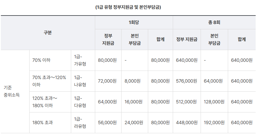 (1급 유형 정부지원금 및 본인부담금