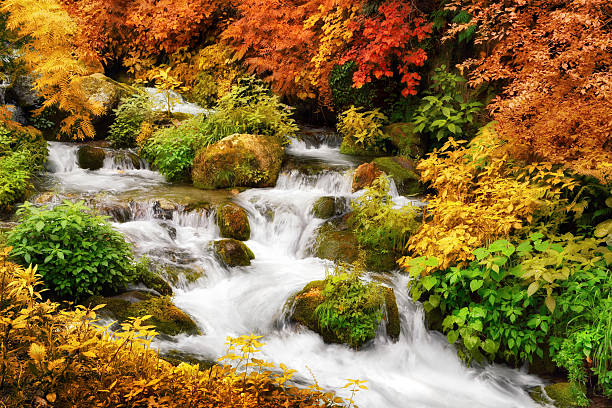 가을 여행! 100개 축제 스탬프 투어
